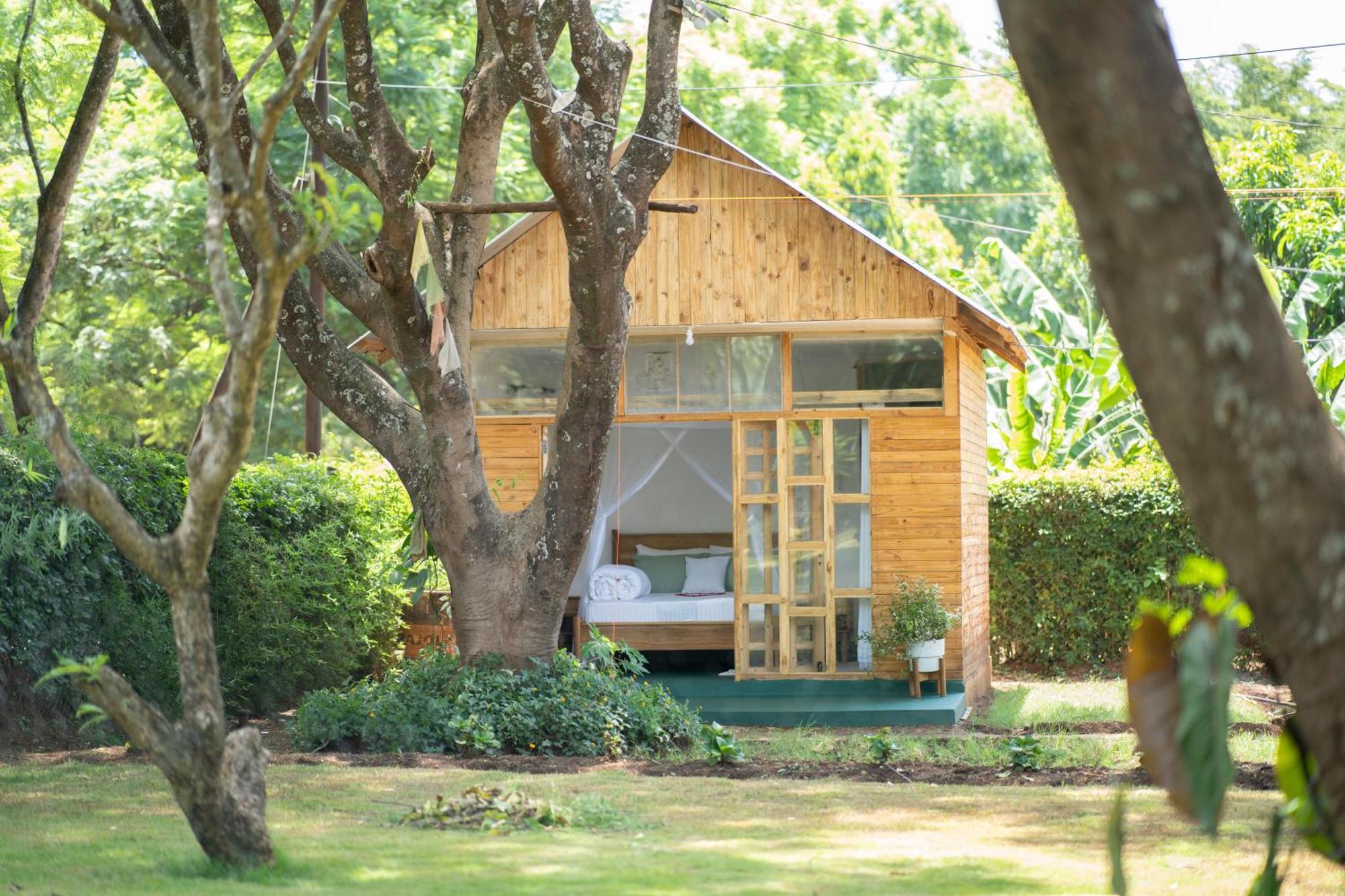 Mkoani Homestay Moshi Exterior photo